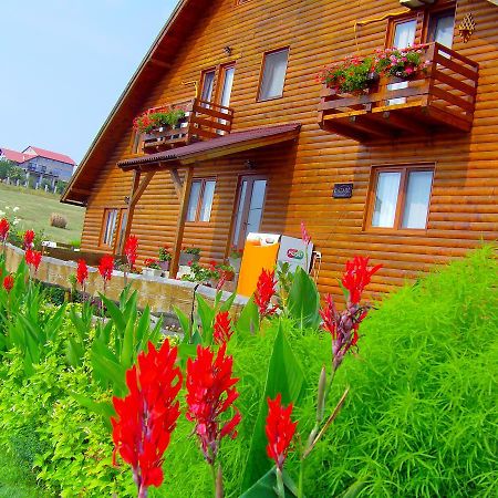 Casa Altius Felix Apartamento Băile Felix Exterior foto