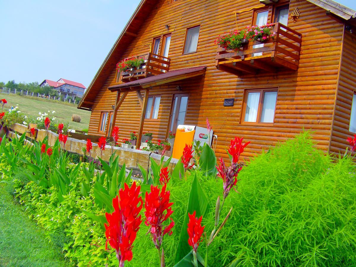 Casa Altius Felix Apartamento Băile Felix Exterior foto